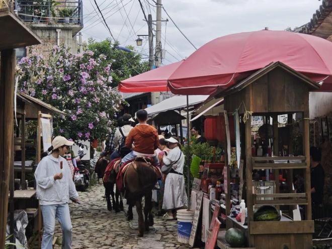 量”艺术扎根结出“金果子”AG真人凤阳邑流量变“留(图3)