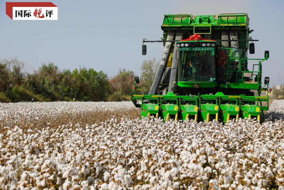 心玷污不了洁白的新疆棉花AG真人网站西方政客的黑(图1)