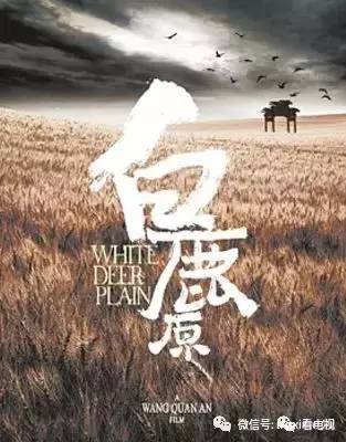 、13部电视剧一线全盘点AG真人旗舰厅11档综艺(图13) 、13部电视剧一线全盘点AG真人旗舰厅11档综艺(图13)